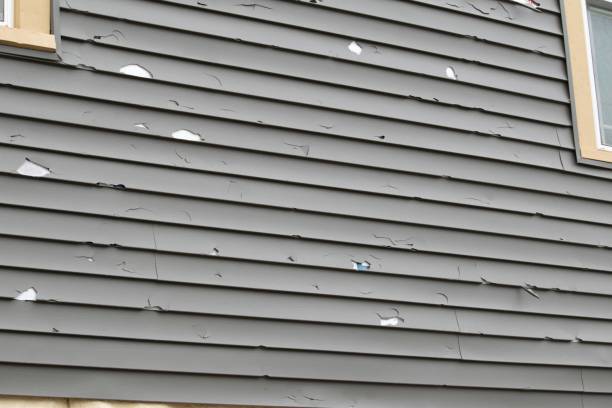 Best Siding Removal and Disposal  in Dubois, PA